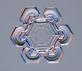 Pierwszym uczonym, który współcześnie zajął się tajemnicą płatków śniegu był japoński fizyk jądrowy Ukichiro Nakaya z Sapporo. Stworzył diagram ukazujący zależność kształtów płatka od wilgotności i temperatury otoczenia.