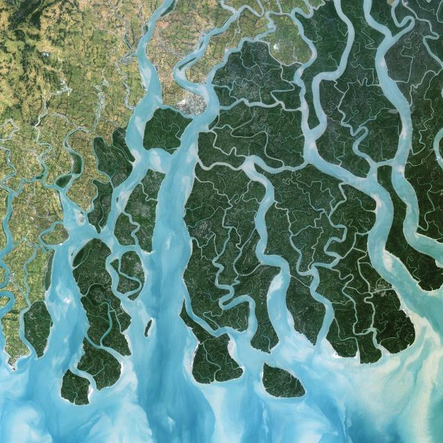 Delta Gangesu
