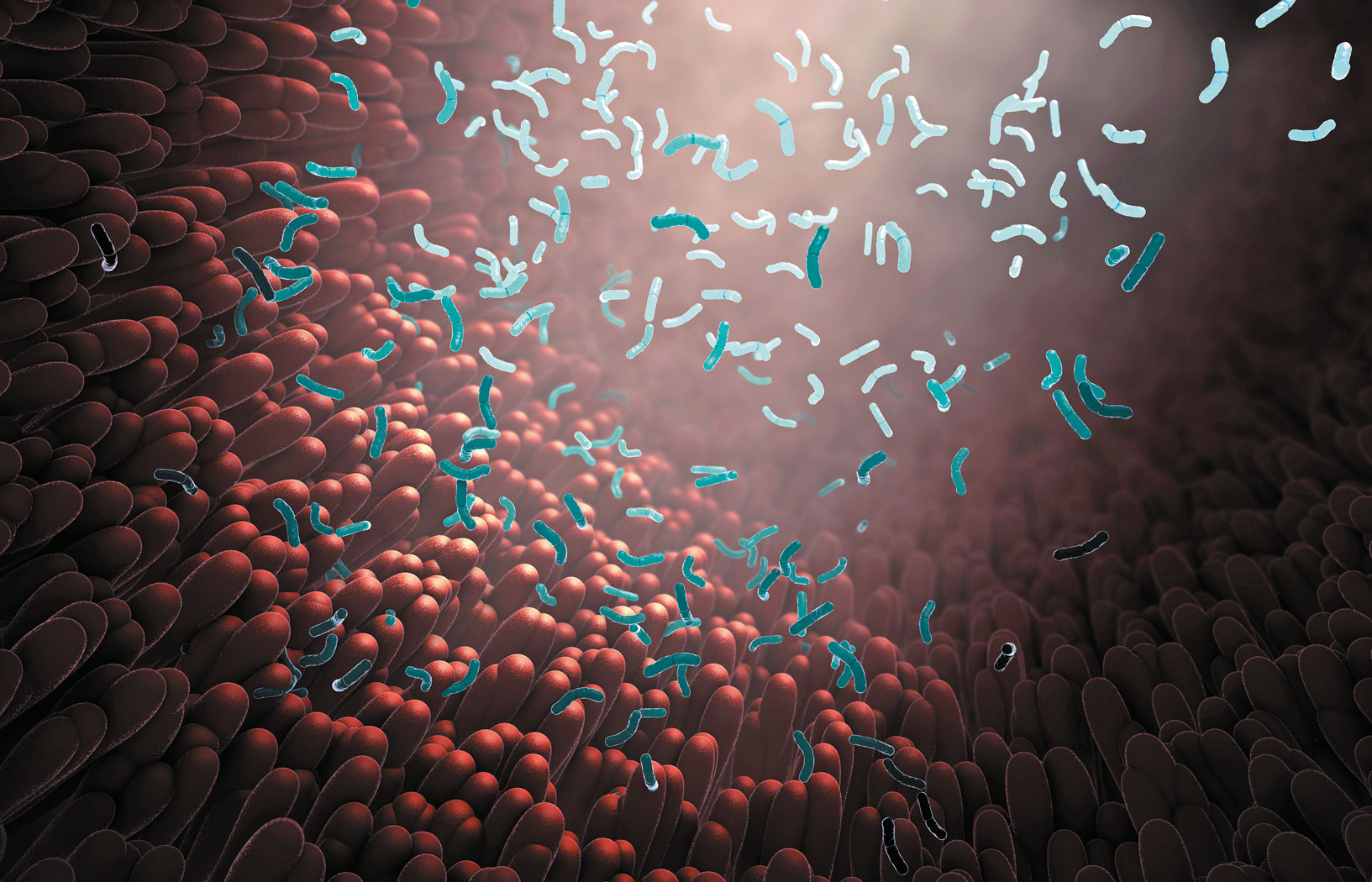 Naturalni czyściciele