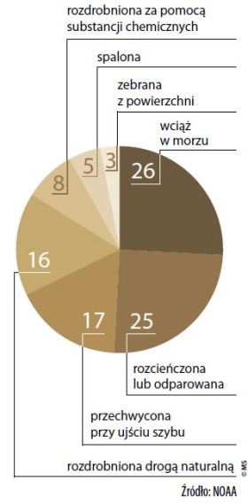 Co się stało z ropą z Zatoki Meksykańskiej (w proc.)