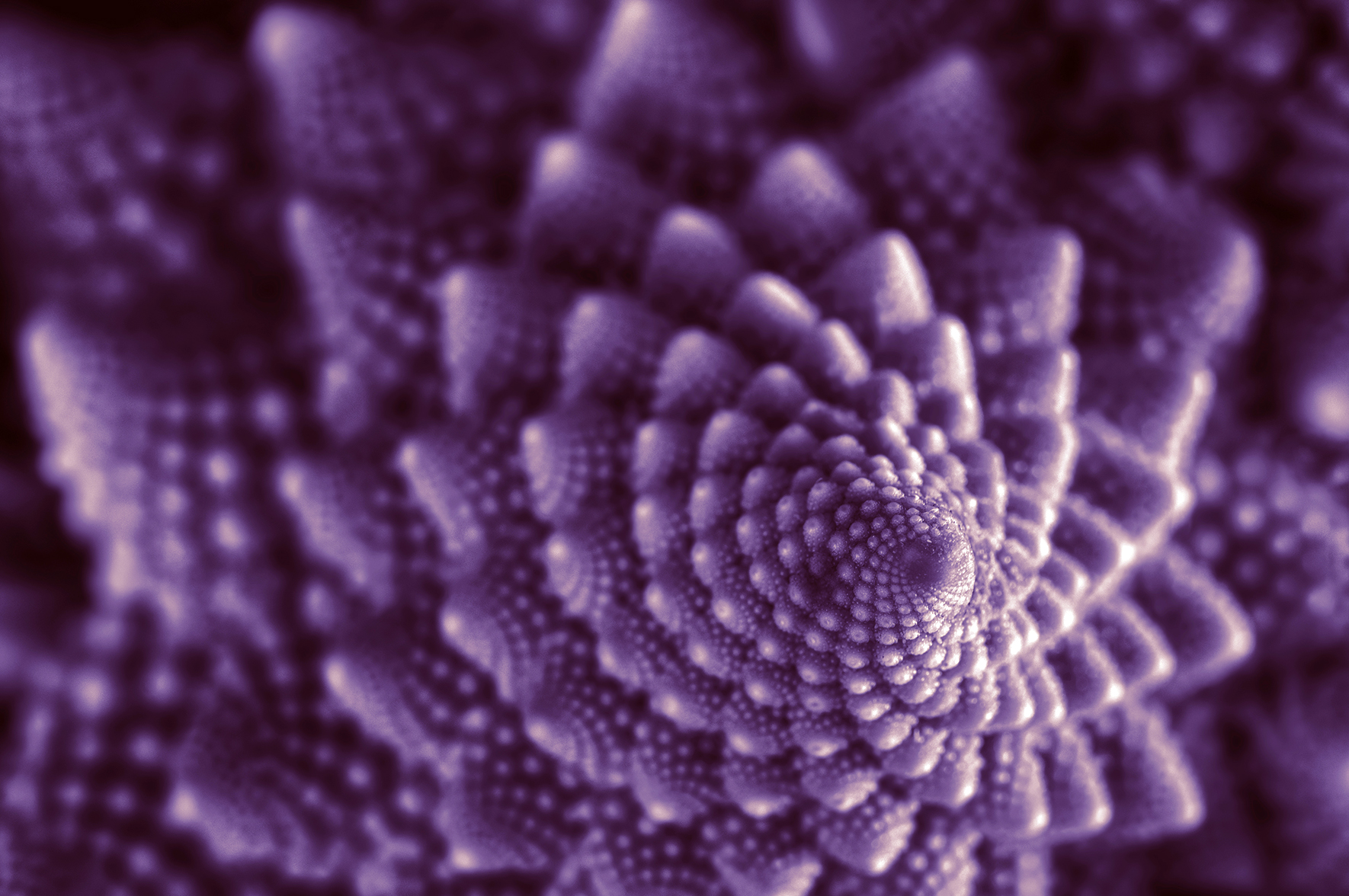 Wszechświat jest jak kalafior? Odpowiedzi szukali badacze z Centrum Badań Kosmicznych PAN