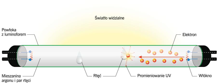 Budowa lampy jarzeniowej.