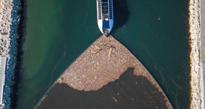 Ballona Creek do Oceanu Spokojnego spływa rocznie ponad 13 tys. t plastiku.