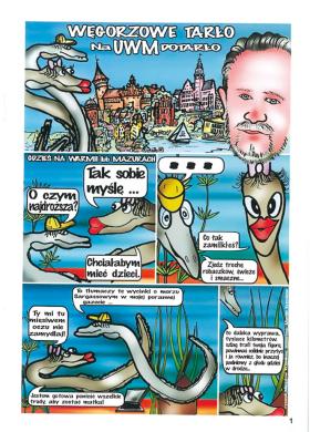 Na promocję projektu przewidziano 20 proc. jego wartości. W jej ramach znalazło sie miejsce na komiks o węgorzowym love story zakończonym in vitro.