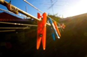 Poranna rosa na sznurach do bielizny, a na pierwszym planie... Larwa jest po ty by się wspinać do pożywienia i jeść. Oj, nie jest lekko, ta ma jeszcze długi dystans z przeszkodami.