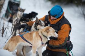 Kuba nadawał się do trenowania psów jak mało kto.