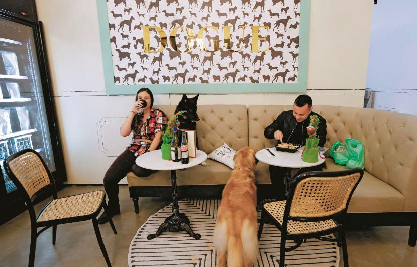 W restauracji Dogue można zamówić menu degustacyjne za 75 dolarów. Niejeden klient świętuje tu urodziny lub rocznicę opuszczenia schroniska dla psów.
