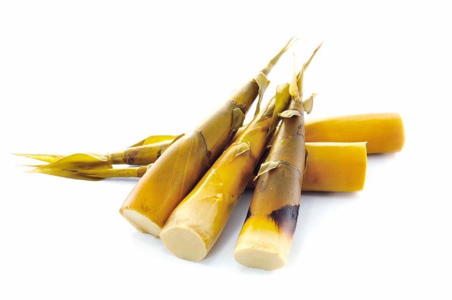 Pędy bambusa można gotować na ­parze i jeść.