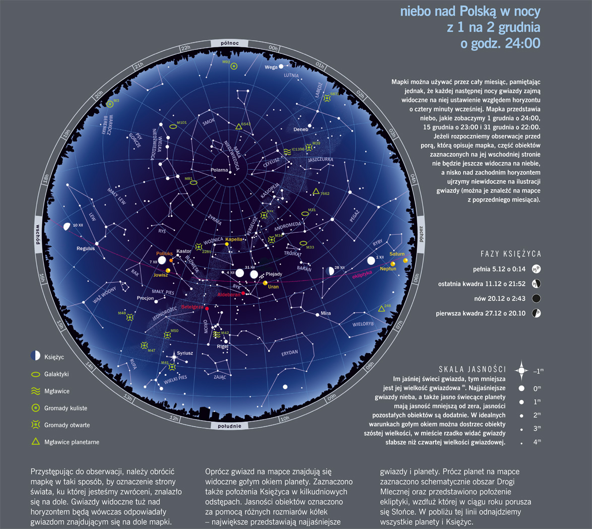 Grudzień. Polowanie na gwiazdkę
