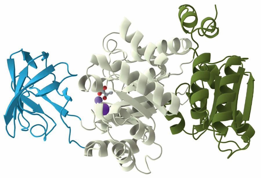 Przykład trzech domen strukturalnych w białku.