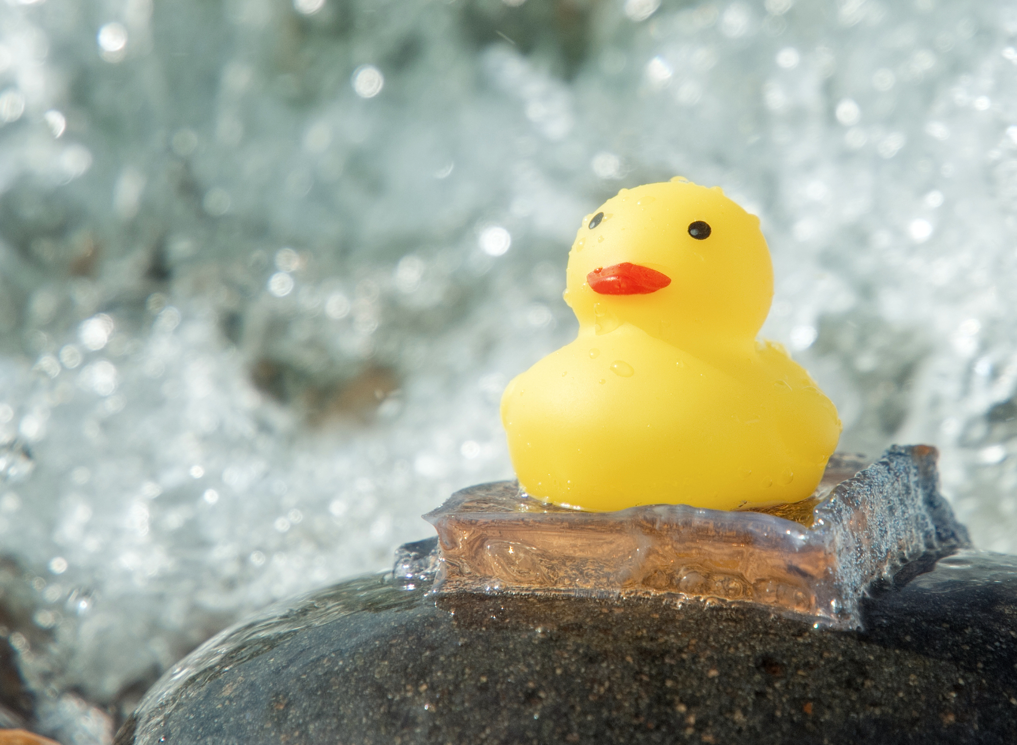 Co AI sklei, tego człowiek nie rozdzieli