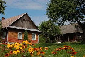 „W ciężkich chwilach partia zwraca się do szarych członków. Gdyby każdy ze 110 tys. ludowców wyłuskał choćby 200 zł, a nawet połowę tej sumy, standing finansowy PSL zostałby uratowany”.