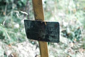 Cmentarz w Radziejowej