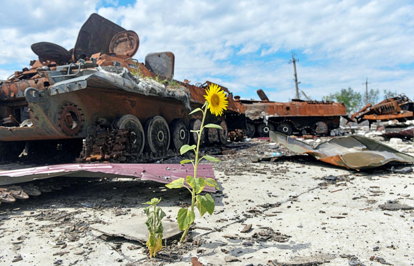 Zniszczony rosyjski pojazd wojskowy w rejonie Charkowa, 17 lipca 2022 r.