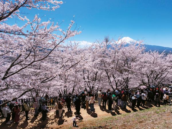 Arakurayama Sengen Park