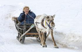 Premier Norwegii Erna Solberg.