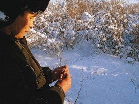 W jej opowieści jak i w innych relacjach z czasów GUŁAGU powtarza się motyw, że wielu ludzi uratowały zające. Jak je łapać wie Żenia Bułgakow.