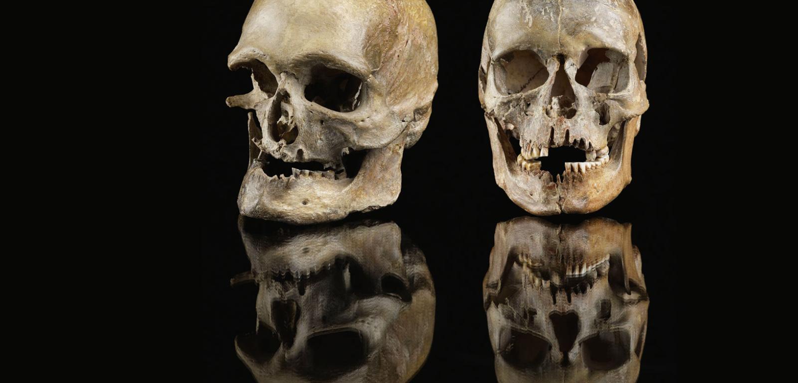 Czaszki mężczyzny i kobiety sprzed 14 tys. lat znalezione w zachodnich Niemczech.