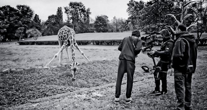 „O zwierzętach i ludziach”, reż. Łukasz Czajka