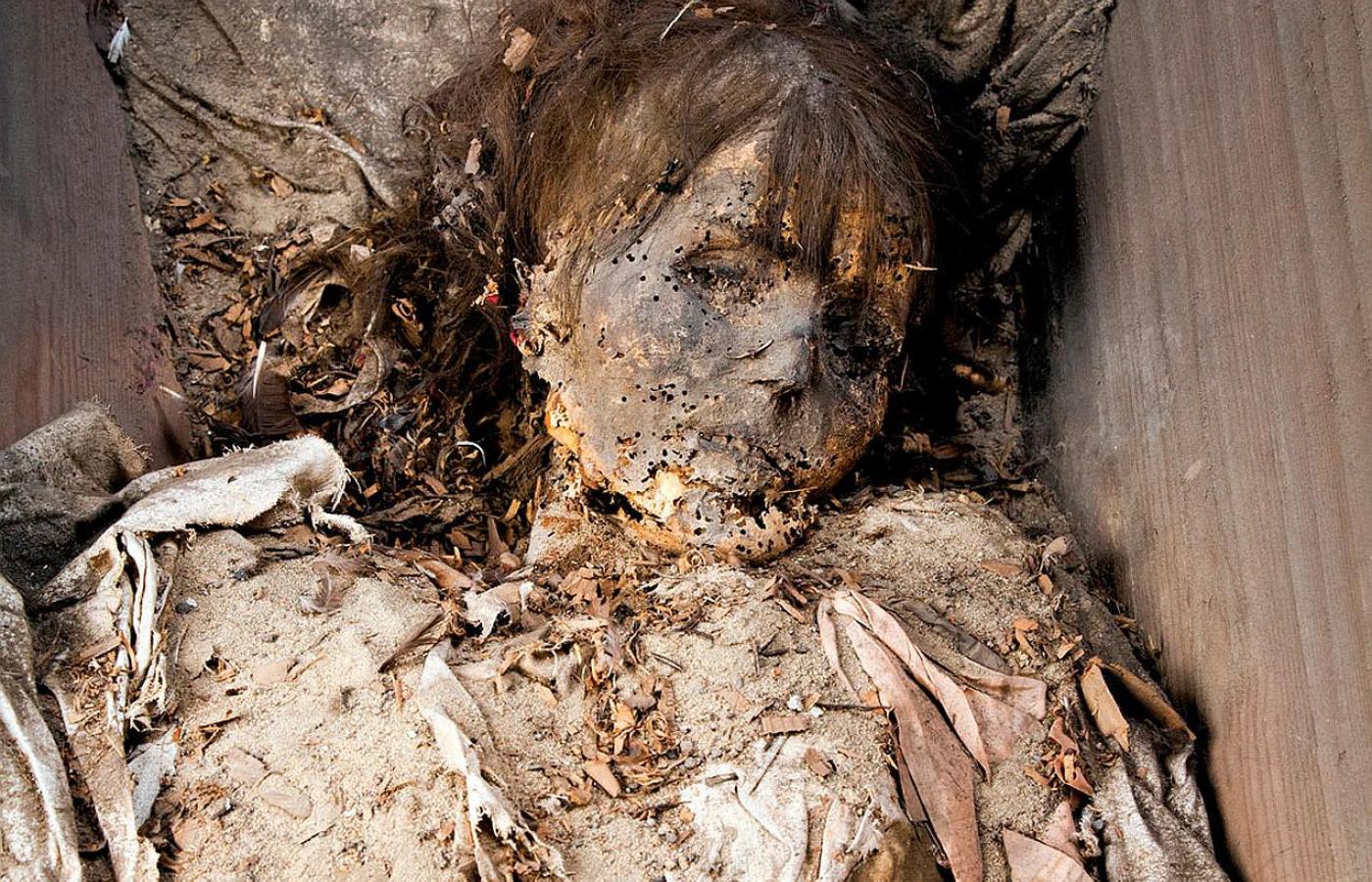 Ciało niezidentyfikowanej dziewczynki znalezione podczas XIX-wiecznych porządków w krypcie Modrzejewskich