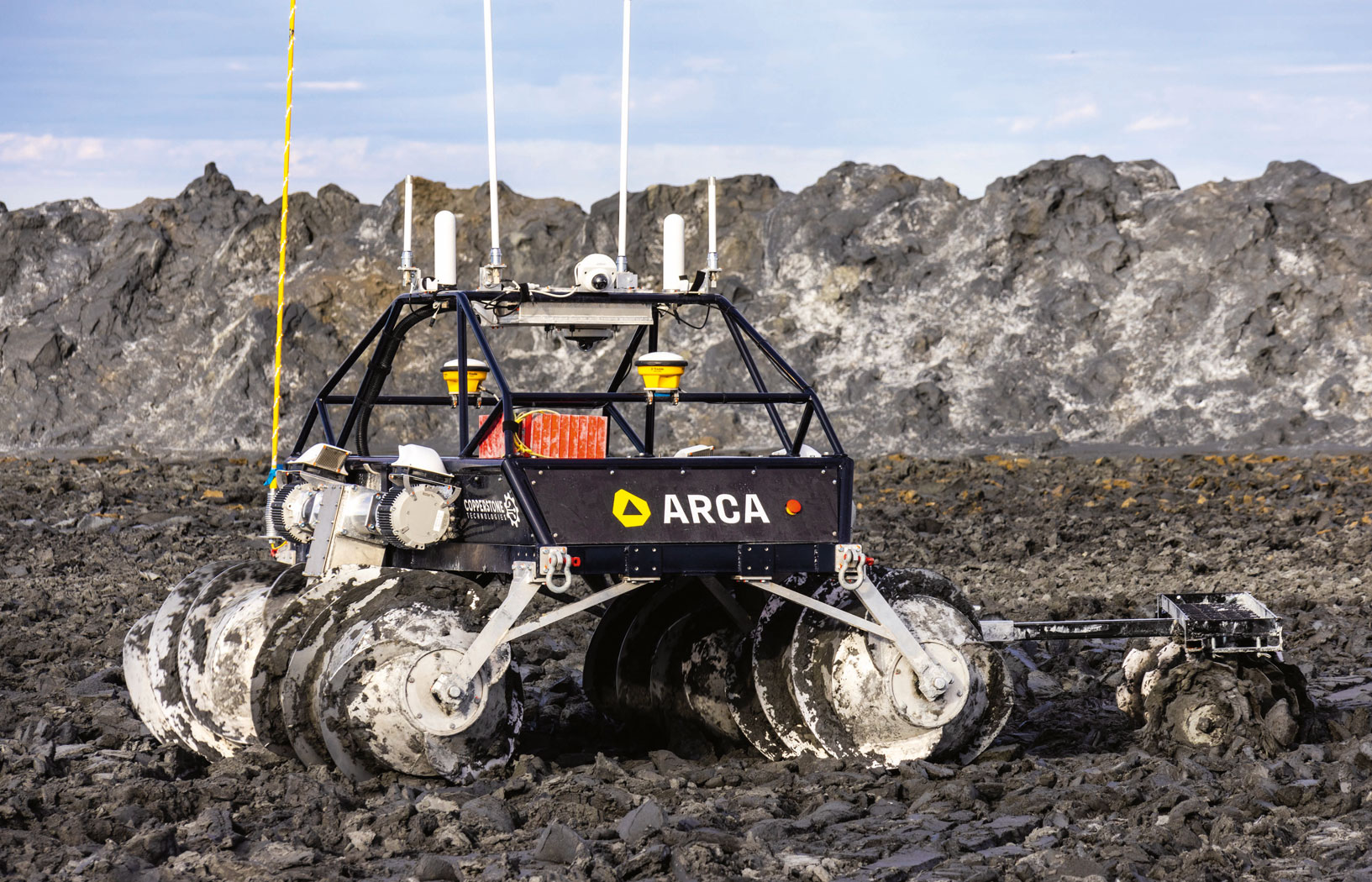 Pola połykające dwutlenek węgla