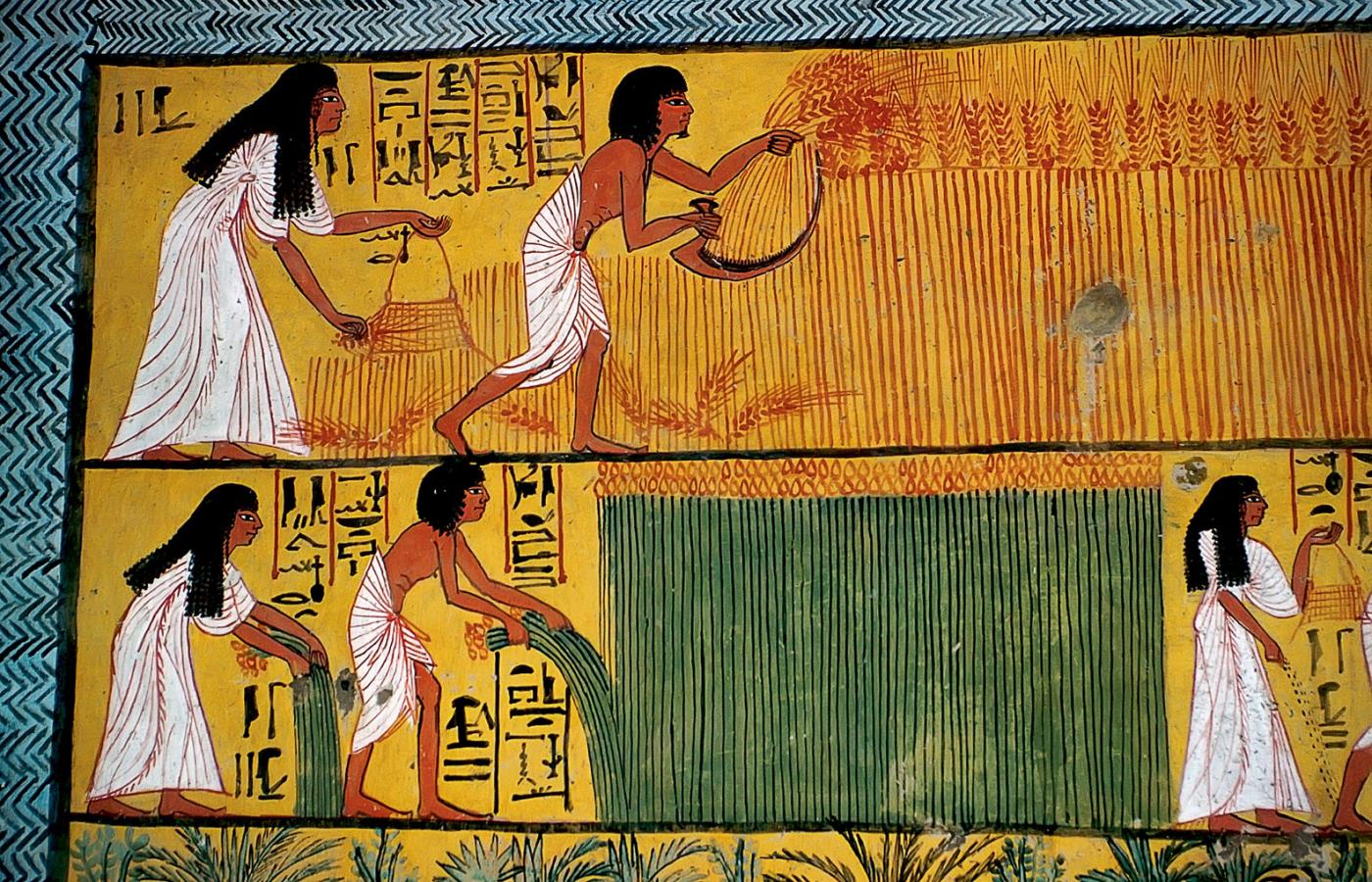 Prace rolne na egipskim malowidle ściennym z XIII w. p.n.e.