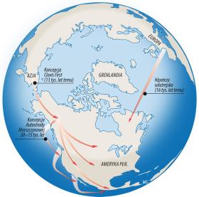 Mapa prawdopodobnych dróg migracji do Ameryki.
