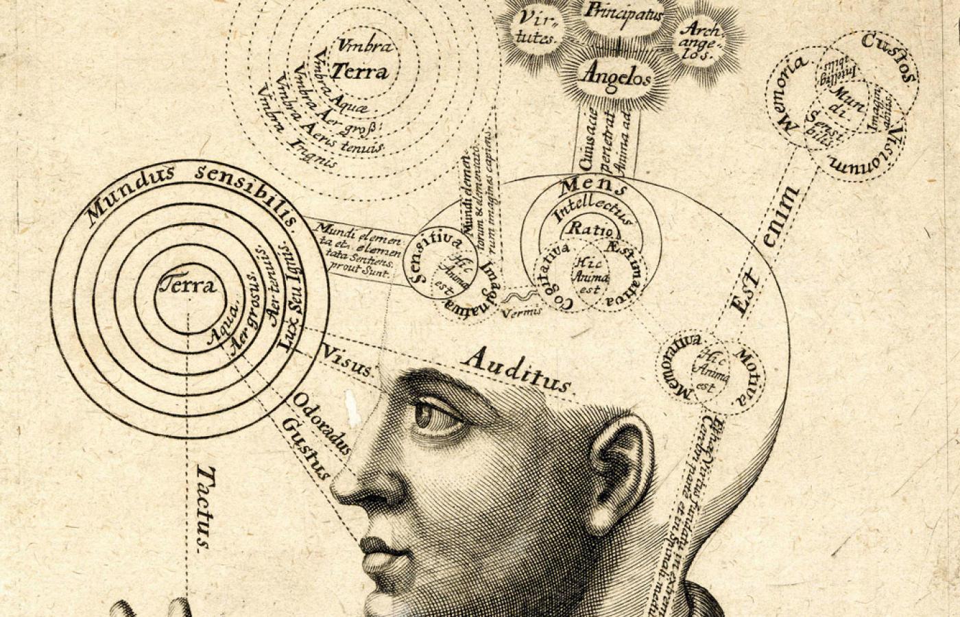 Wyobrażenie ludzkiego mózgu i jego relacji ze światem na rycinie z połowy XVII w.