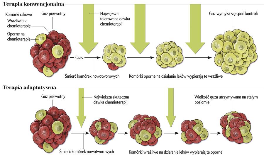 Kontrolowanie nowotworu