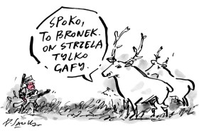 Przerywnik niefotograficzny: Komorowski myśliwy, Sawka złośliwy