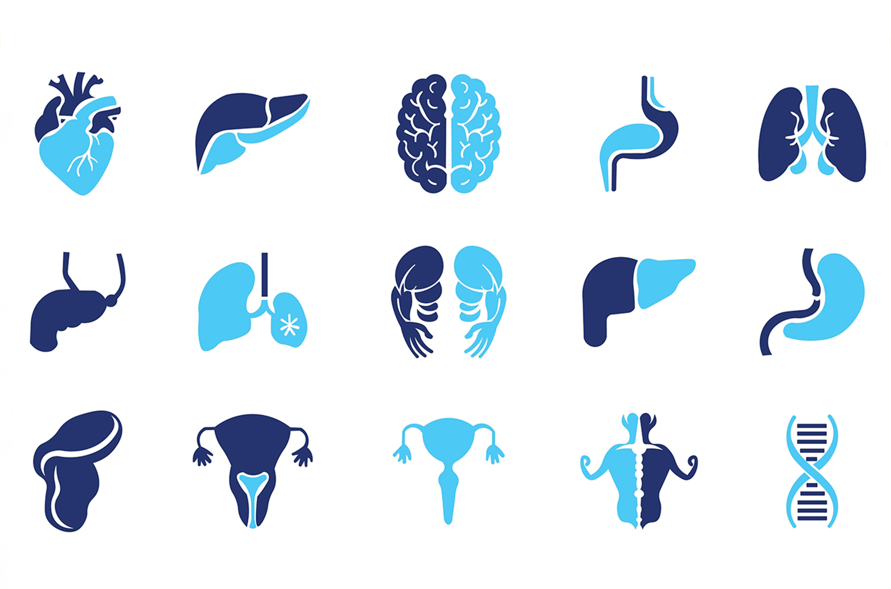 Organoidy z taśmy lepiej służą nauce