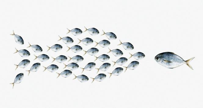 Czym większa grupa, tym burza mózgów jest mniej efektywna.