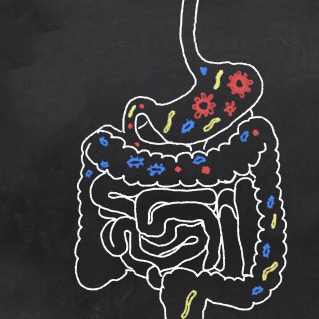 Mikrobiom: naukowcy obalają 12 popularnych mitów