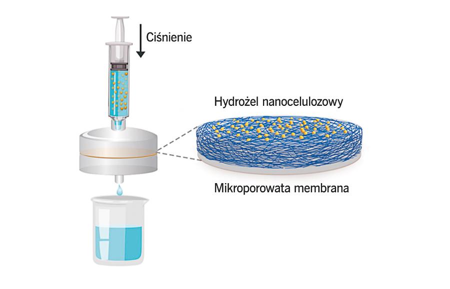 Schemat budowy nanofiltra.