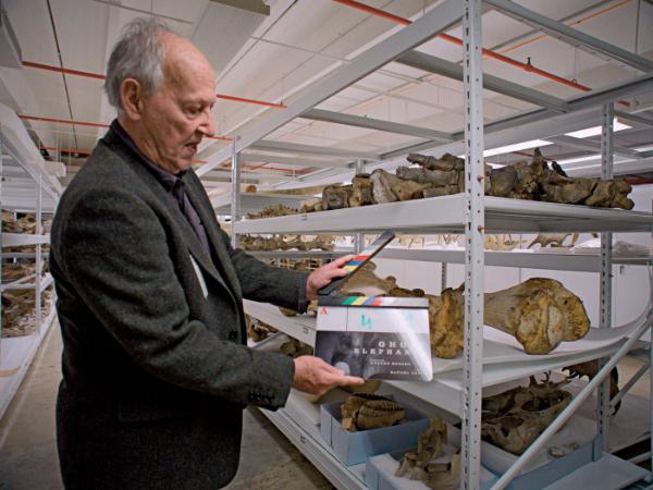 Werner Herzog