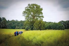 Sesin w Paprotnie prowadzone przez mistrza Rosiego Haradę. Wzięło w nim udział prawie 50 osób.