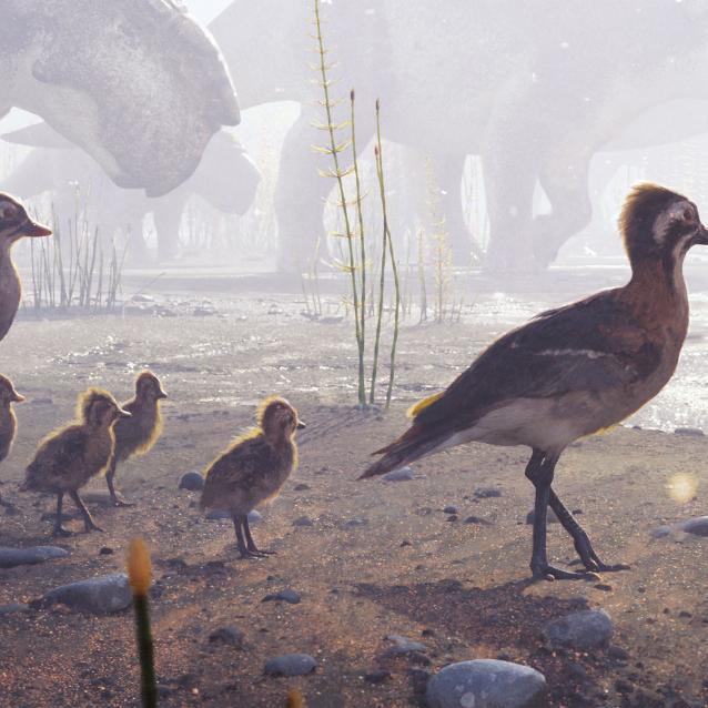 Para ptaków z grupy Ornithurae i ich pisklęta obserwują przybrzeżną równinę zalewową. Ptaki te przed 73 mln lat dzieliły tereny dzisiejszej północnej Alaski z dinozaurami, takimi jak pachyrinozaury, których stado widoczne jest w tle.
