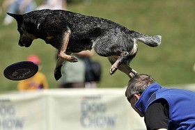 Zwykle jest nią właściciel psa.