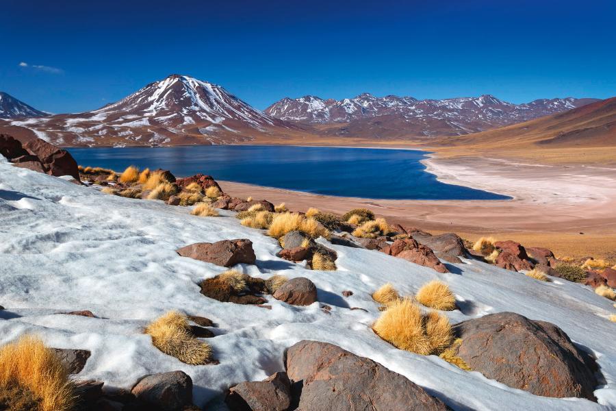 Słone jezioro Miscanti w regionie Antofagasta w północnej części pustyni Atakama.