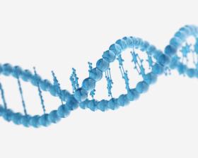 Biorąc pod uwagę spadające ceny testów DNA i ich dostępność, łatwo sobie wyobrazić, że niebawem to dzieci mogą sprawdzać ojcostwo i „matczyństwo” rodziców.