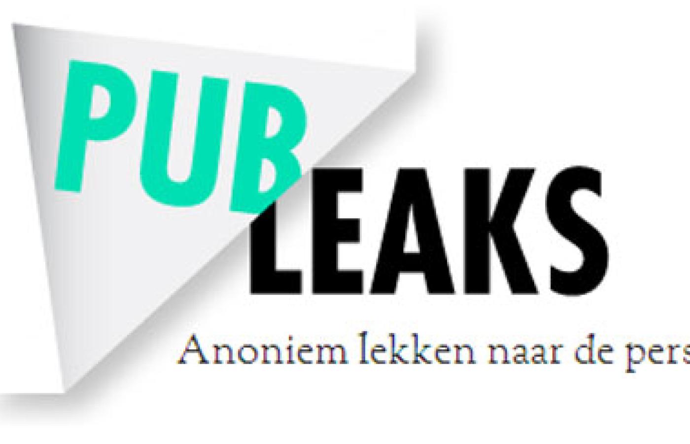 Logo portalu PubLeaks
