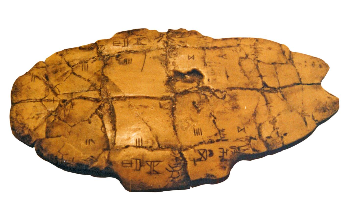 Inskrypcja na skorupie żółwia. Najstarsze zabytki pisma chińskiego (z XIV–XI w. p.n.e.), zachowały się na kościach (łopatkach) zwierzęcych i żółwich skorupach (głównie o charakterze wróżebnym – określano je jako kości smocze) oraz na brązach.
