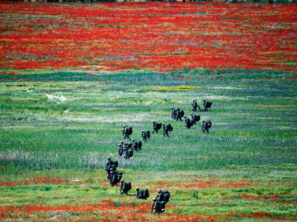 Ćwiczenia NATO w Macedonii Północnej.