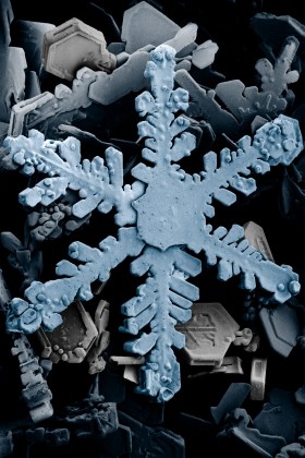 Obraz płatka śniegu pod mikroskopem elektronowym.