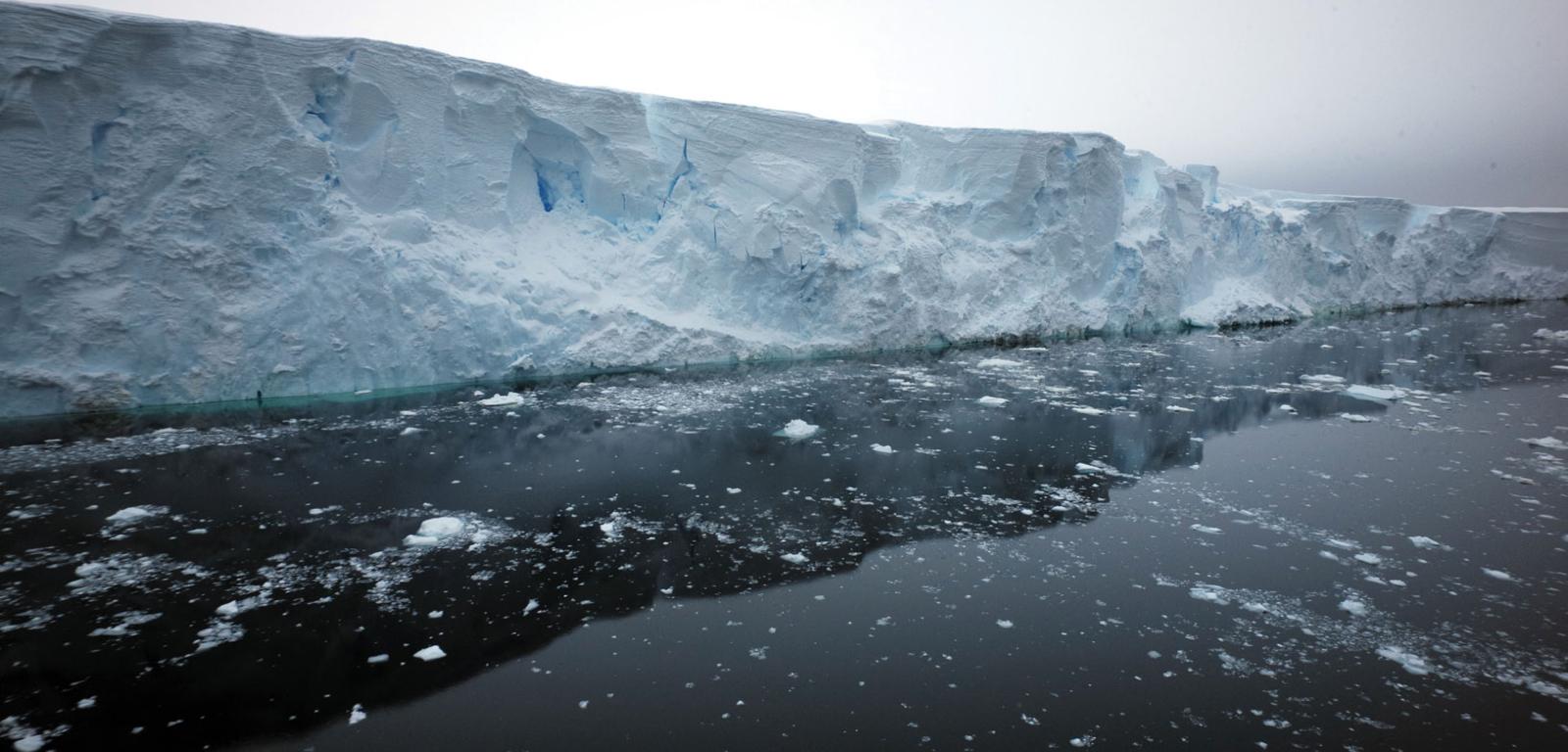 Czoło Lodowca Szelfowego Thwaitesa wznosi się na wysokość 40 m ponad lustro wody oceanicznej. Wielka tafla pływającego lodu szybko się kurczy.