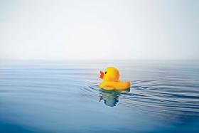 Jarosław Kaczyński, którego wielokrotnie łapano na przydarzających mu się oskarżeniach bez pokrycia (Rosjanie i Tusk zabili mu brata, Angelę Merkel kanclerzem zrobiła Stasi, uchodźcy przenoszą zarazki itd.), postanowił doprowadzić do sytuacji, w której nic nie jest kompromitacją.