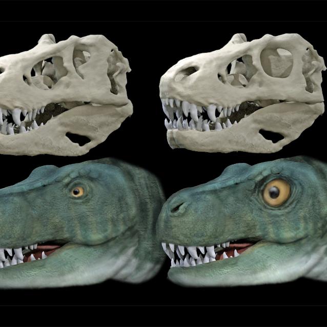 Jak były zbudowane oczy dinozaurów?