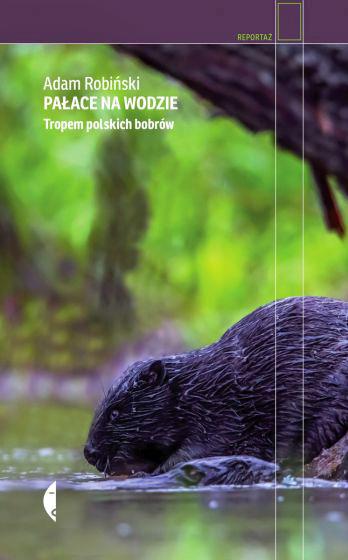 Książka Adama Robińskiego „Pałace na wodzie. Tropem polskich bobrów” ukaże się 27 kwietnia nakładem wydawnictwa Czarne.