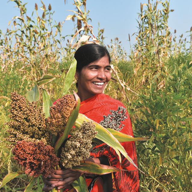 Prastare odmiany roślin uprawnych, nawadniane przez deszcz i użyźniane organicznymi dodatkami, okazały się tak plenne, że Nadimidoddi Vinodamma z Deccan Development Society (DDS), spółdzielni rolniczej w południowych Indiach, może nimi bez problemu wykarmić swoją liczną rodzinę.