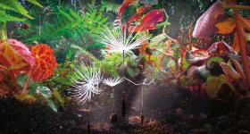 „Dmuchawce”, reż. Momoko Seto